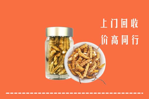 天全县回收冬虫夏草